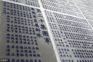 那一些年我们追过的“绝美名字”（有可能有点儿…）