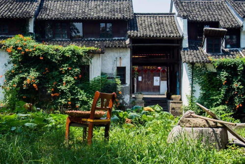 庭院朝向之争：南、东、西，谁才是风水宝地嗯？