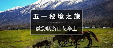 抖音上的热门： 枹罕山庄门票免费