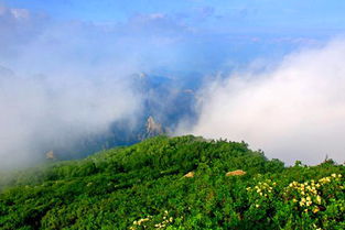 祖山：群山之祖的神秘面纱