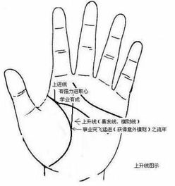 智慧线的其他特征