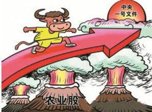 怎样kan待山寨文化,如何kan待山寨风水问题
