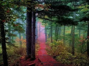 一场莫名其妙又充满惊喜的开始