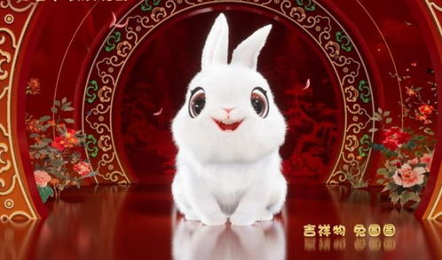 鼠年的窃窃私语