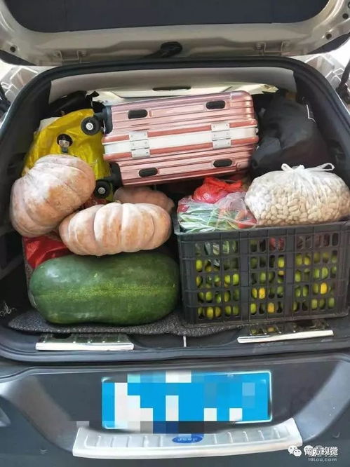 大姑的行李箱里装满了泡面