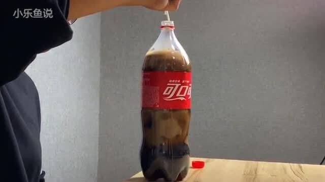 牛——稳重踏实的守护者