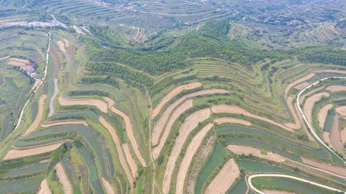 一、梯田的金色晨曦：秋季最佳时节