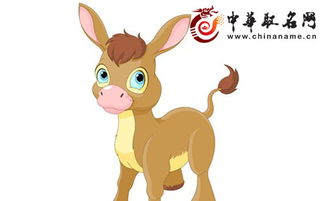 农历十一月十三午时出生属马人，今年的运势如何？