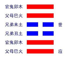 血泪教训！旅行社老板的血本无归