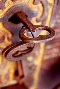 第二章：牛年之盾——为何要自戳？