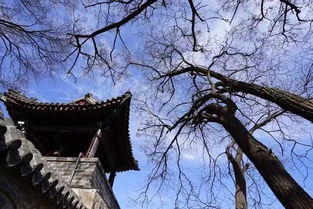 三、夜晚的庙宇和灯光奇观：还真实有点儿迷雾感？