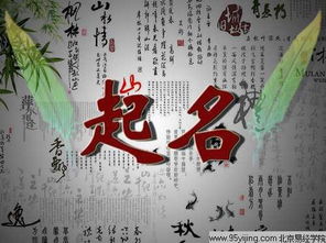 狗年龙抬头男宝宝起名大全里，有没有什么好名字推荐？