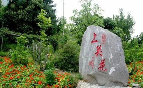 上关花景区：一个让人又爱又恨的奇葩存在