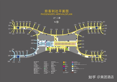 机场到市区：这四种交通方式，藏着本地人的小心机