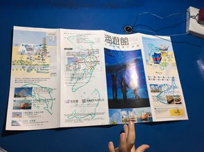 4. 奈良公园：被鹿追着跑的刺激