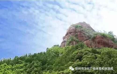 三、 吃喝玩乐——随心所欲的美食攻略