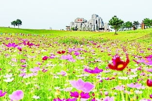 隐藏折扣揭秘：本地人的秘密武器