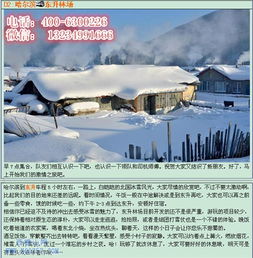 第五天: 返回故土 (崩溃预警)