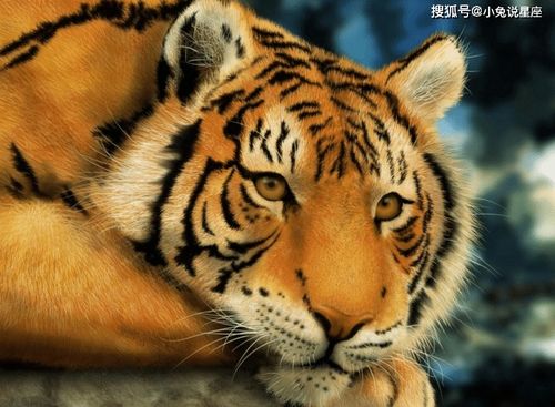 2026年对1986年属虎人的财运有何具体影响和变化？