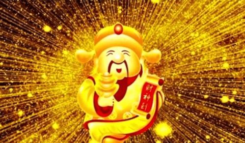 小绵羊的大富豪之路