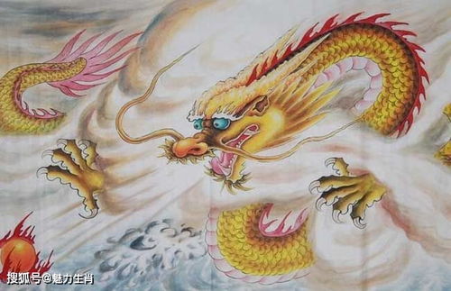 1988年属龙的人，五月二十六出生的八字命运，是属火还是属木呢？
