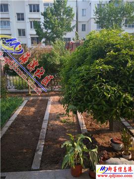 植物也要搞封建迷信？