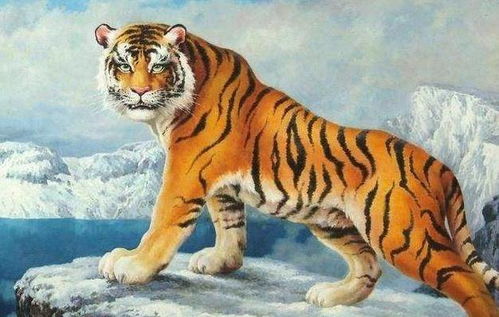 震惊！这几个生肖下半年要逆天改命了！钱多到花不完！！