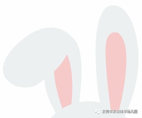 2026年属兔的男宝宝，有没有什么单字好名字推荐呢？