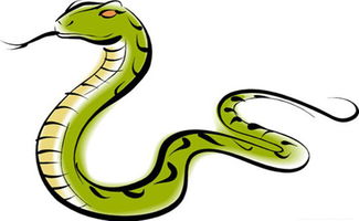 2026年属蛇人的学业运势会如何？
