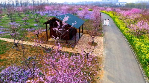 果林谧境：小小探险家的乐园！