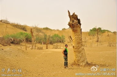 第一章：当你踏上这片土地时 一切都变了