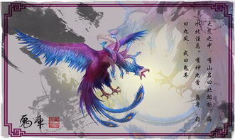 古代神话中的预示——梦里的龙与凤