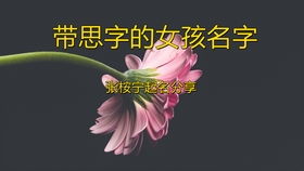 舒字的魅力与取名艺术