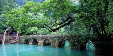 美食界的泥石流：从窜稀到真香