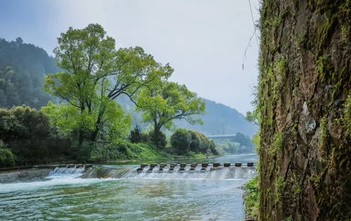 婺城区岩头村：一个被梅溪环绕的小村庄