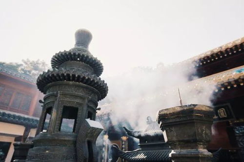 1-1 普陀山——禅意与较高峰等待