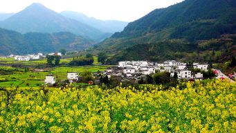 旅行较小贴士（全程噪音版）