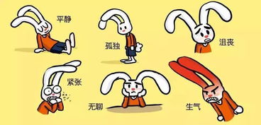 十二生肖情绪画像：谁最容易“发飙”？