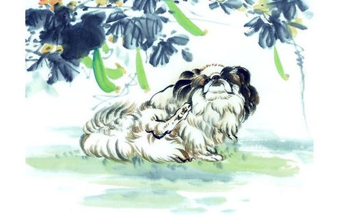 马：草原上的秋名山车神