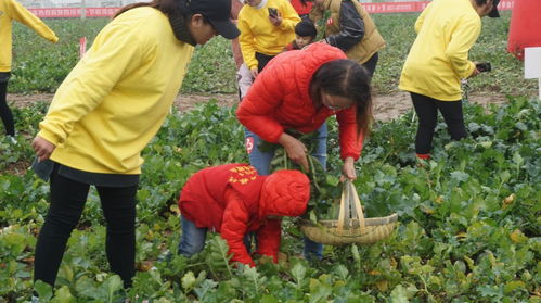阴阳相冲：风水师们的大戏