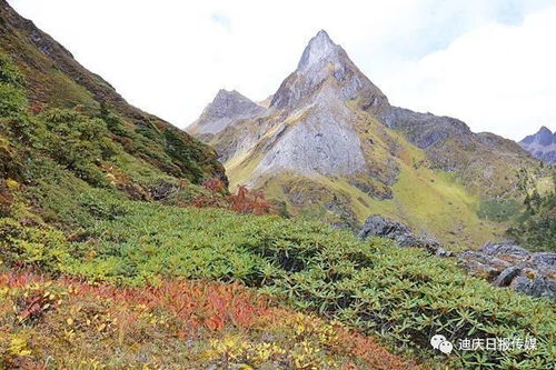 第三章：爬山——爬到天上去？（其实只是个坡）