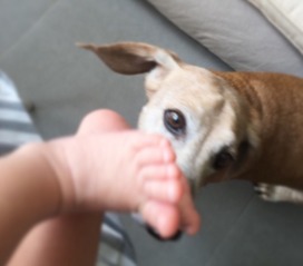 诅咒觉醒：牺牲还是救赎？