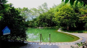 【必玩项目】不玩不是中国人！