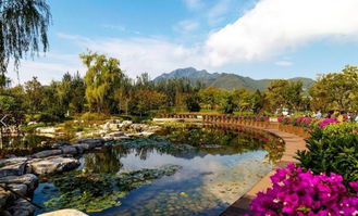 莲花湖旅游区里有哪些特色的民宿可以推荐？