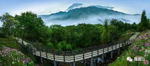 2026年最新玄学玩法 不看后悔一辈子