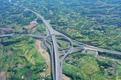 公路惊魂：过山车般的驾驶体验