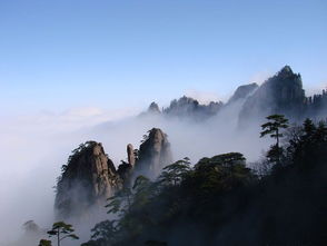 暴走式一日游？别傻了！婺源黄山这样玩才值回票价