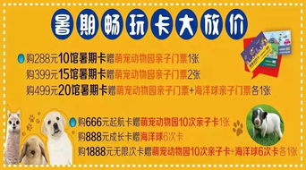 生肖玩家的