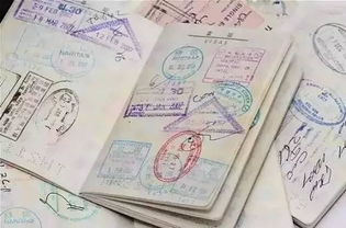 签证这个磨人精：全是坑还不得不跳