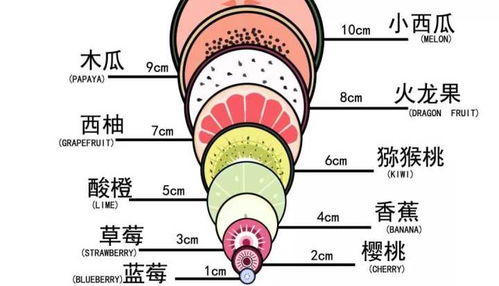 一、申时到底是几点？2026年黄历显示...
